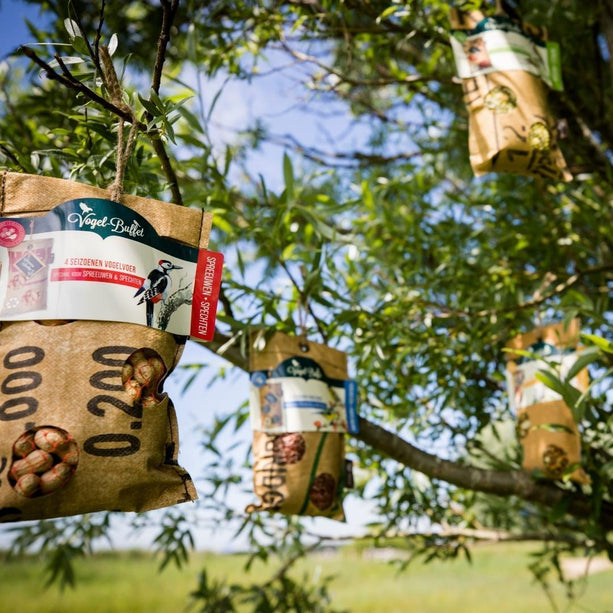 Bird-Buffet | Picknick voor buitenvogels | 300 gram - Koolmees & Pimpelmezen