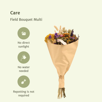 Droogbloemen Veldboeket Multi - Ø 25 cm - ↑ 60 cm