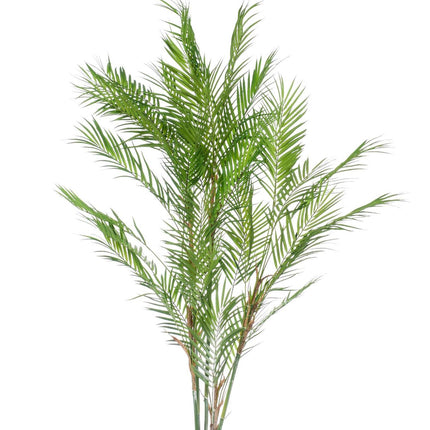 Kunstplant - Chamaedorea Elegans - Bergpalm - 120 cm
