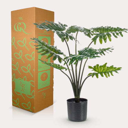 Kunstplant - Philodendron - ↑ 75 cm