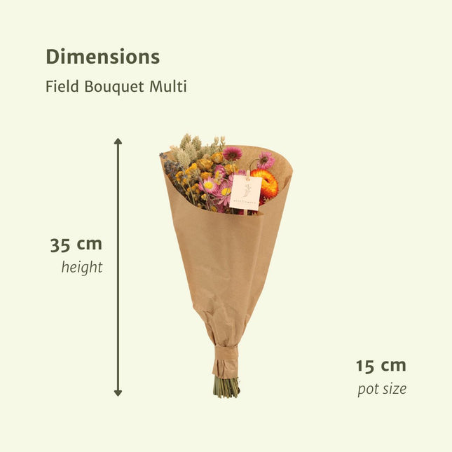 Droogbloemen Veldboeket Multi - Ø 15 cm - ↑ 35 cm