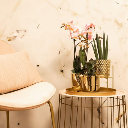 Kolibri Home | Plantenstandaard - Gouden metalen planten verhoging - Ø 12 cm