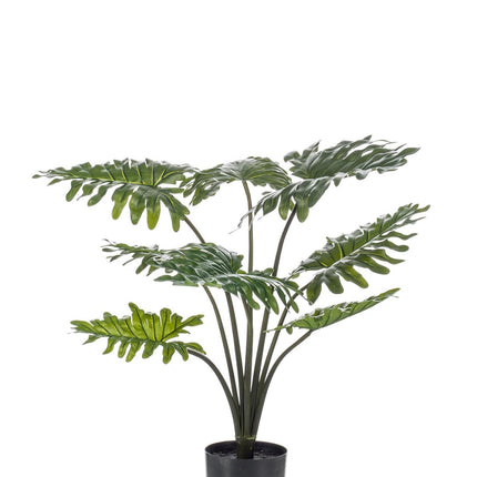 Kunstplant - Philodendron - ↑ 75 cm