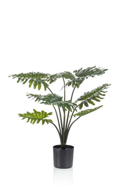 Kunstplant - Philodendron - ↑ 75 cm