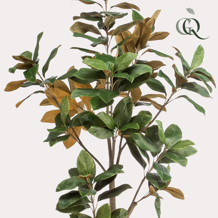 Kunstplant - 180 cm - Magnolia Grandiflora