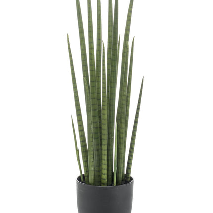 Kunstplant - Sanseveria Cylindrica - Vrouwentong - 70 cm