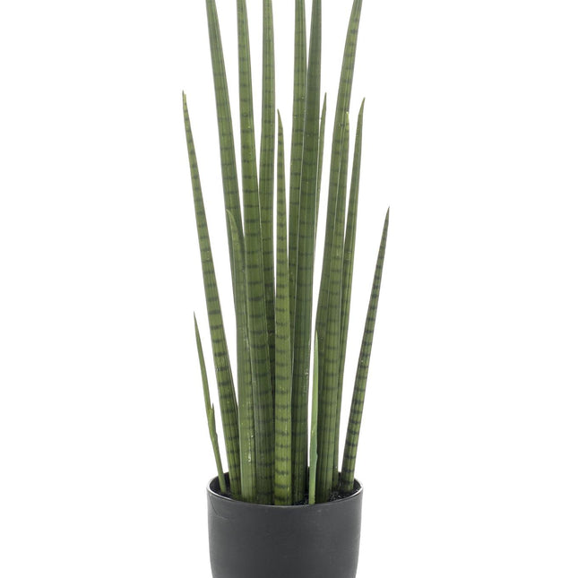 Kunstplant - Sanseveria Cylindrica - Vrouwentong - 70 cm