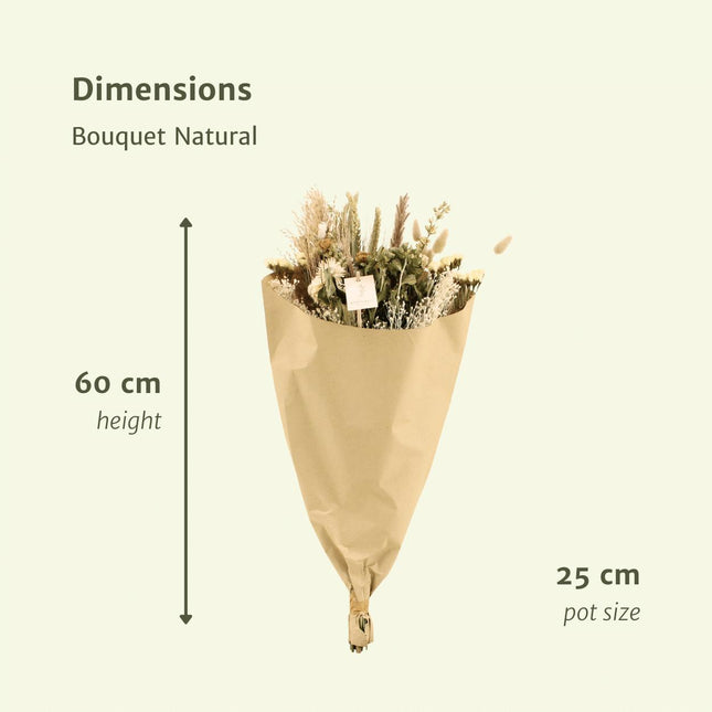 Droogbloemen Veldboeket Natuurlijk - Ø 25 cm - ↑ 60 cm