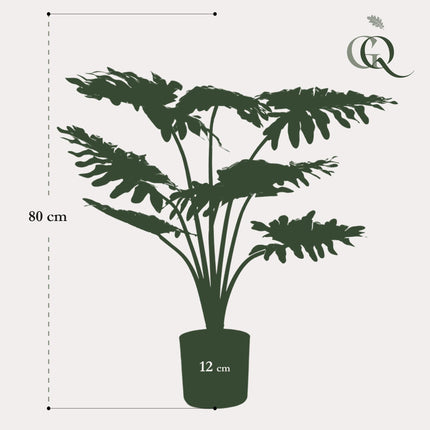 Kunstplant - Philodendron - ↑ 75 cm