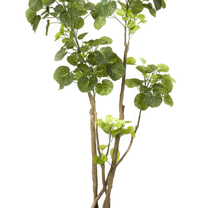 Kunstplant - Polyscias - Aralia - 140 cm